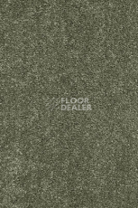 Ковролин AW Gaia Equinox 29 фото 1 | FLOORDEALER